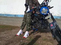 elmayorsolo avatar
