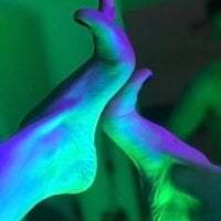 euphoria_nights avatar