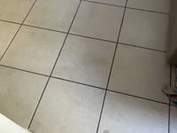 exibicionista420 avatar