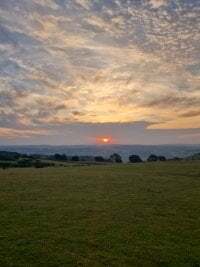 fatfreddie___ avatar