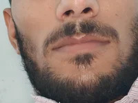 freefromtheworld avatar