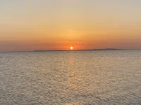galal_23 avatar