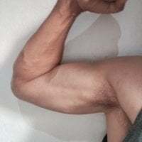 gatodepauduro avatar