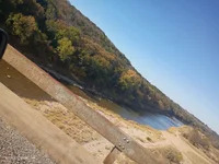 georgeatchison4514 avatar