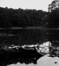 goldengenesdoll avatar