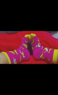 gordinhatudonaa avatar