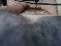 hairybeartopdominant avatar