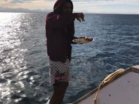 hamedSal52220 avatar