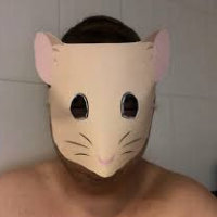 hamstergrabben avatar