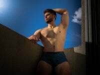 hans_fox avatar