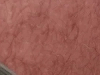 hari_22033 avatar