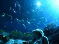 harukalovetata556569 avatar