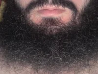 hasan3811 avatar