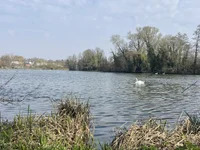 hippooooo8765 avatar