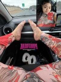 hispinkfreak219 avatar