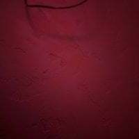 hornycouple76533 avatar