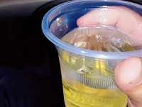 hornycoupleJandS avatar