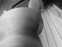 hotwife3 avatar