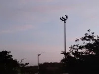 iiamsun avatar