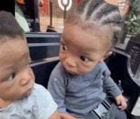 indian_beardo avatar