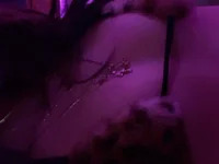 juicybootyquinn avatar