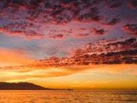 justconnect24 avatar