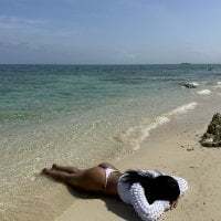 karolaalcendra avatar