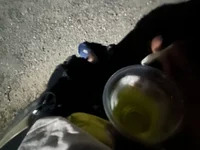 kigiu avatar