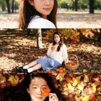 kim1010holiday avatar