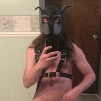 kinkywolf429 avatar