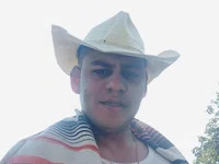 kmd199 avatar