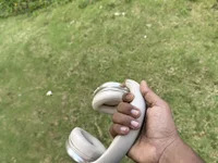 kumar231_ avatar