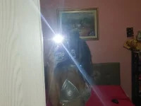 ladibien avatar