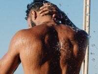 lilwolfbrasil avatar