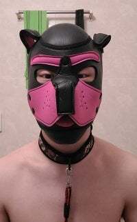 lioncake1221 avatar