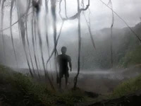 little-monter avatar