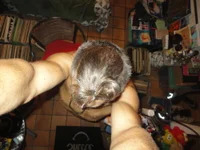 littledragon33 avatar