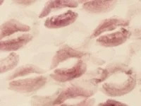 littlesmokeybaby avatar