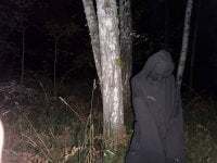 lonelycry7tal avatar