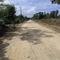 lookmidick899 avatar