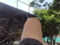 loscalaveres avatar