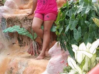 lovelycutiepie2026 avatar