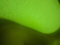 lpgent11 avatar