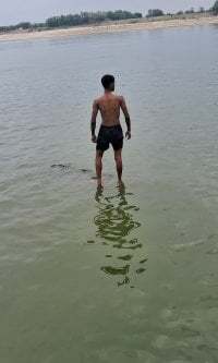 lundkaraja8084 avatar