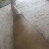 mafiaegypt888 avatar