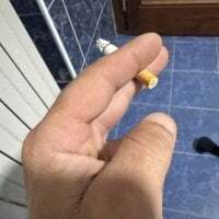 maialexte avatar