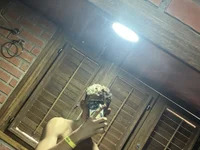 mastercum28 avatar