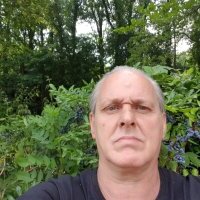 matze48 avatar