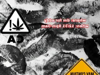 mercedesandcamry avatar