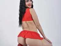 miafoxvg avatar